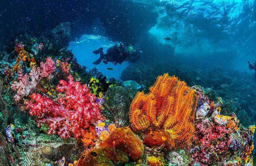 Scuba Diving in Red Sea, Egypt