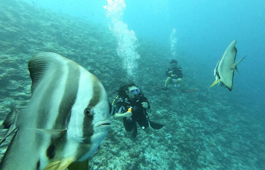 Scuba Diving in Goa – Diving Cost and Places