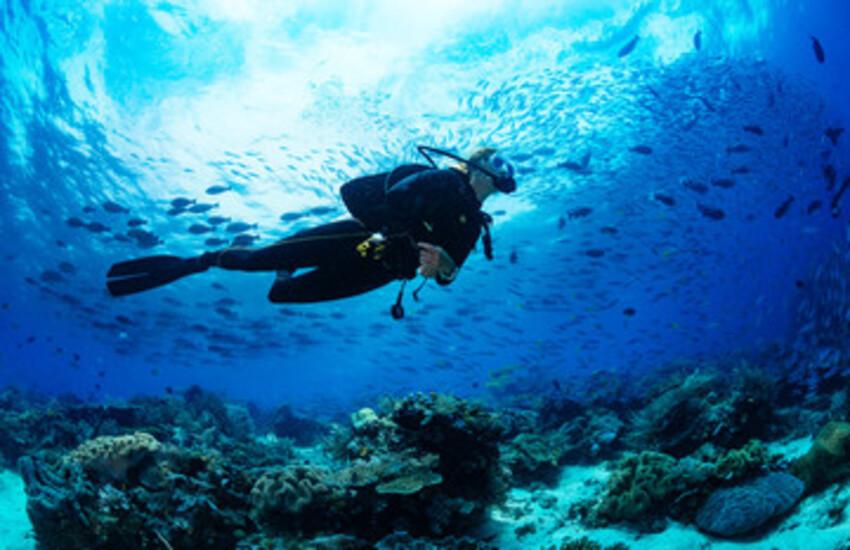 Scuba Diving in Tarkarli – Explore everything
